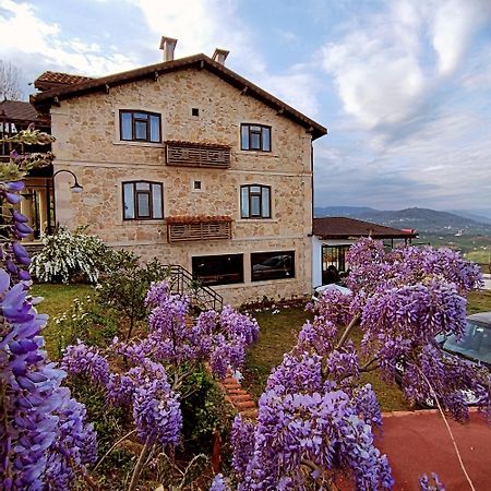 Hayat Oksijen Resort Ordu Luaran gambar