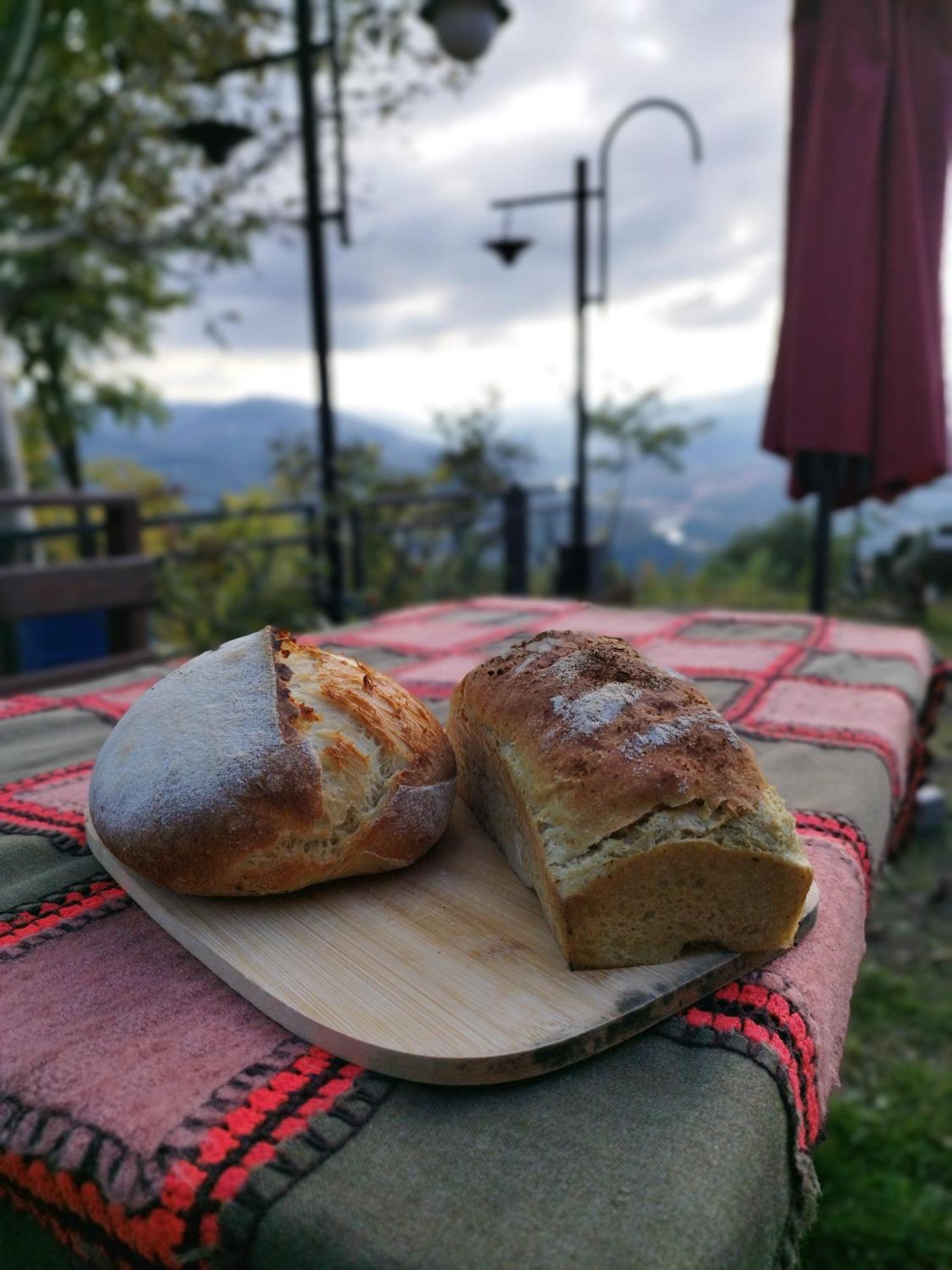 Hayat Oksijen Resort Ordu Luaran gambar
